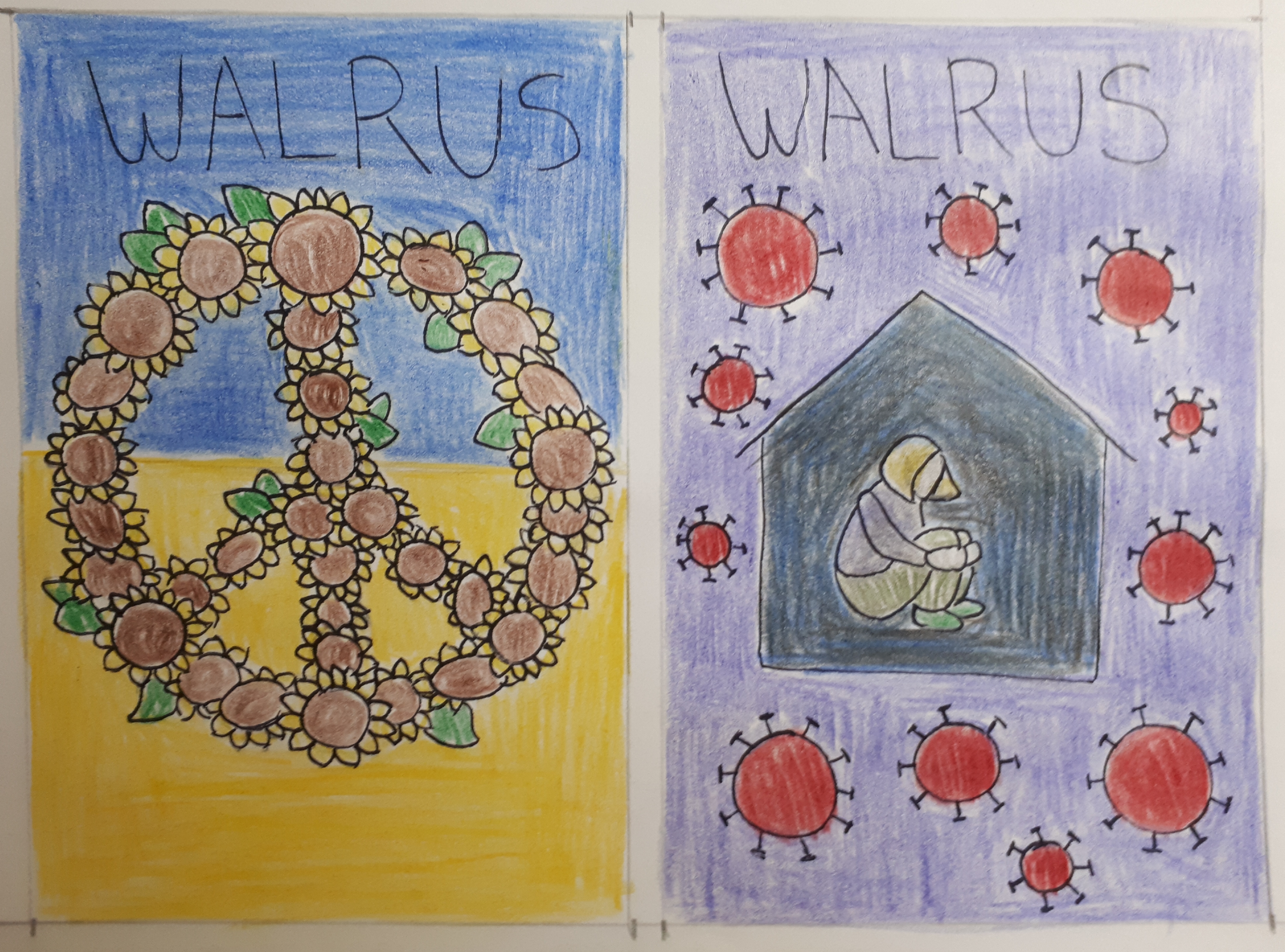 the walrus roughs